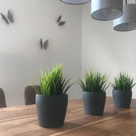 Modernes Ferienhaus Mit 2 In Im Frankenwald * Naila