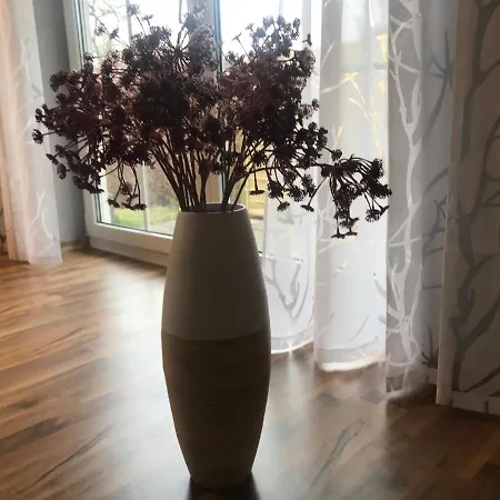 Modernes Ferienhaus Mit 2 In Im Frankenwald * Naila